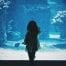 Child standing in front of glass exhibit in aquarium